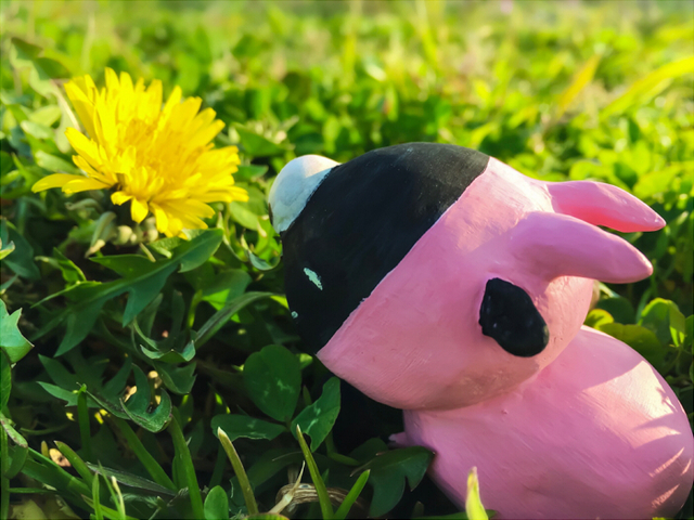 お花見ブラド